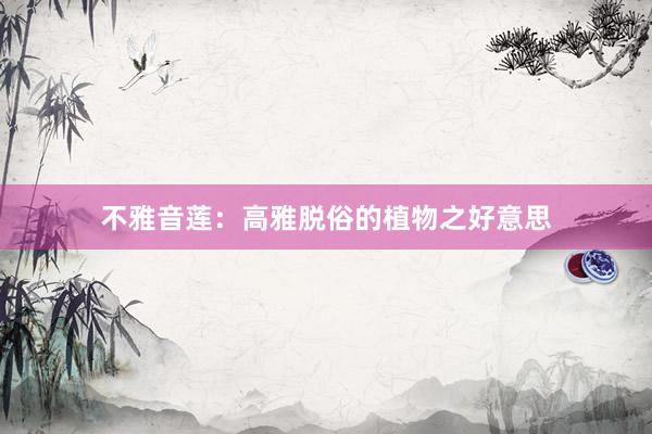 不雅音莲：高雅脱俗的植物之好意思