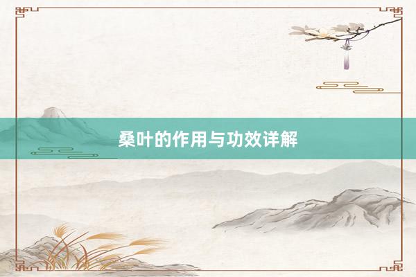 桑叶的作用与功效详解