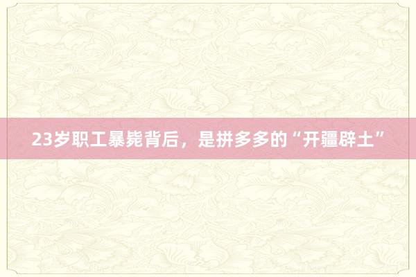 23岁职工暴毙背后，是拼多多的“开疆辟土”