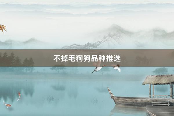不掉毛狗狗品种推选