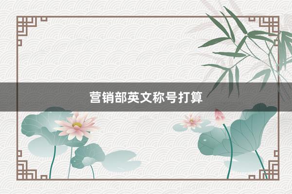 营销部英文称号打算