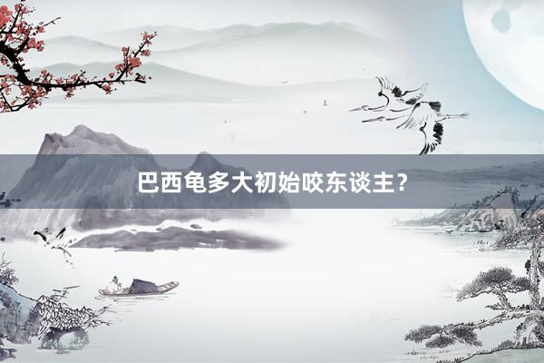 巴西龟多大初始咬东谈主？